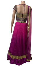 Pink Embellished Lehenga - My Store